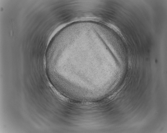 X0000070861420200607150045