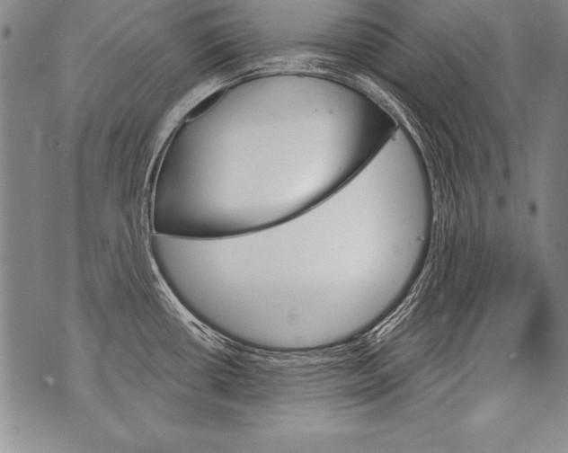X0000070861434200607150045