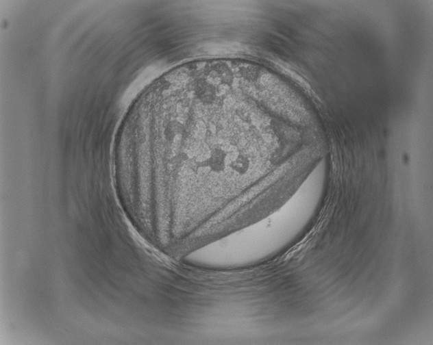 X0000070861471200607150044