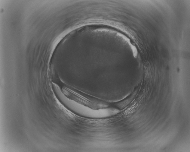 X0000070861527200607150044