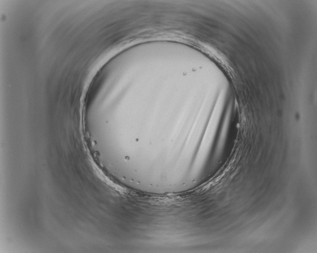 X0000070861528200607150044