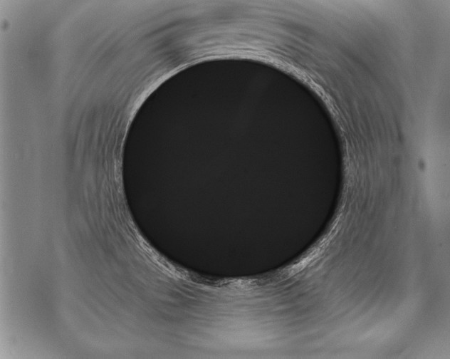 X0000070861529200607150044