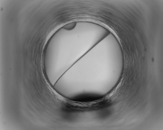 X0000070861533200607150044