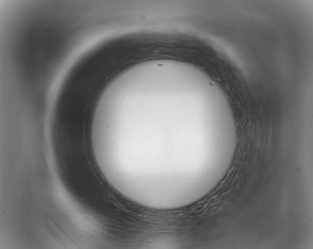X0000070870052200606161047