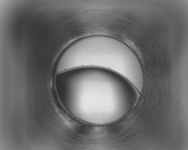 X0000070870060200606161047