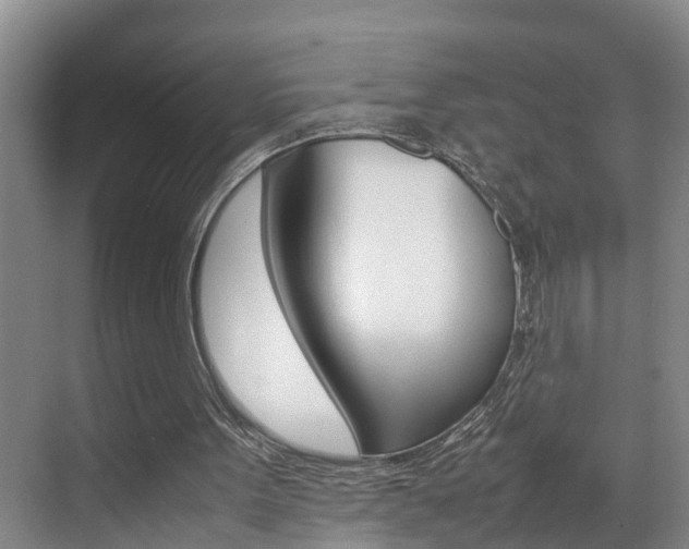 X0000070870099200606161047