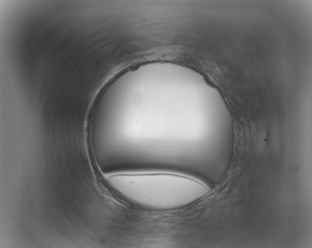 X0000070870100200606161047