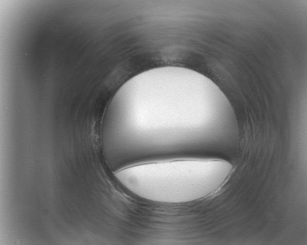 X0000070870140200606161046