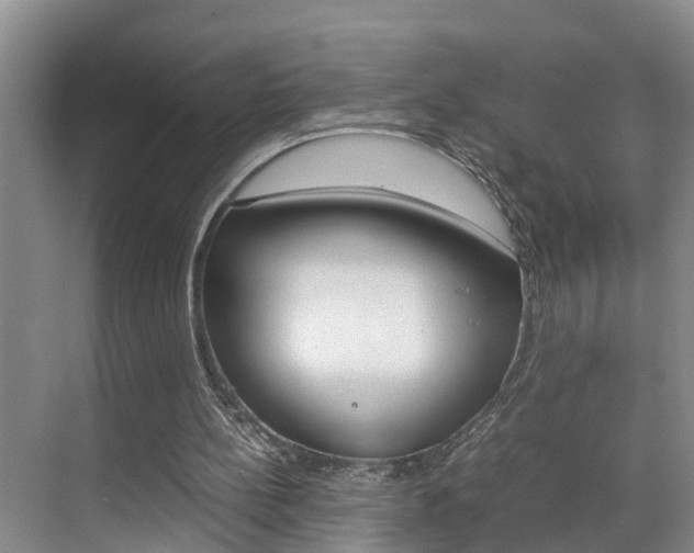 X0000070870148200606161045