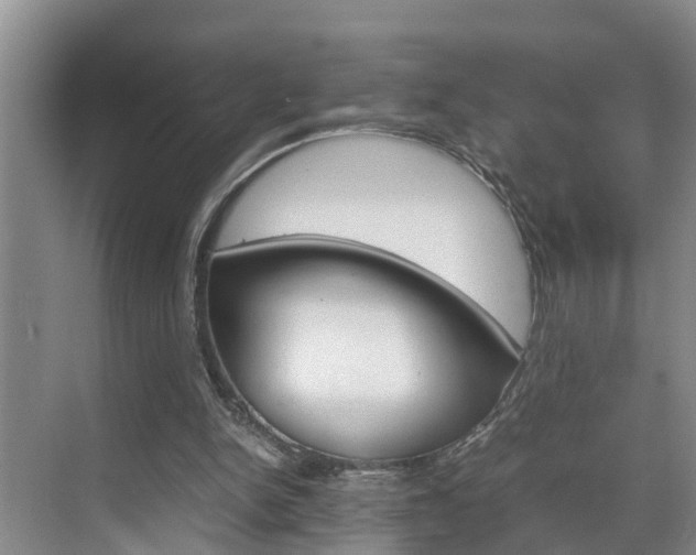 X0000070870150200606161045