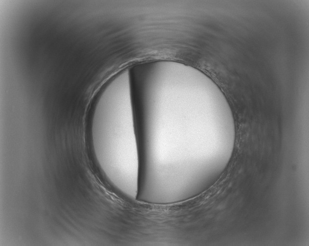 X0000070870194200606161045