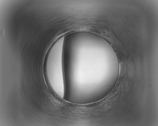 X0000070870195200606161045