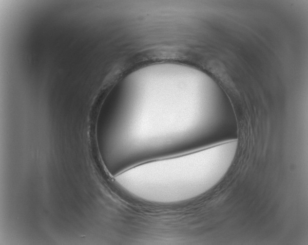 X0000070870207200606161045