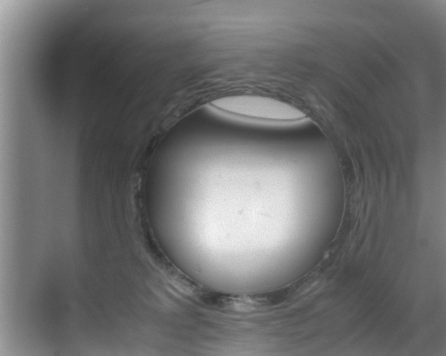 X0000070870229200606161045