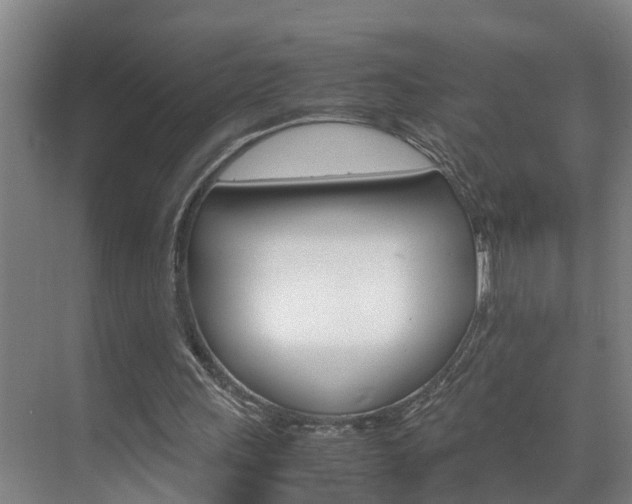 X0000070870243200606161044