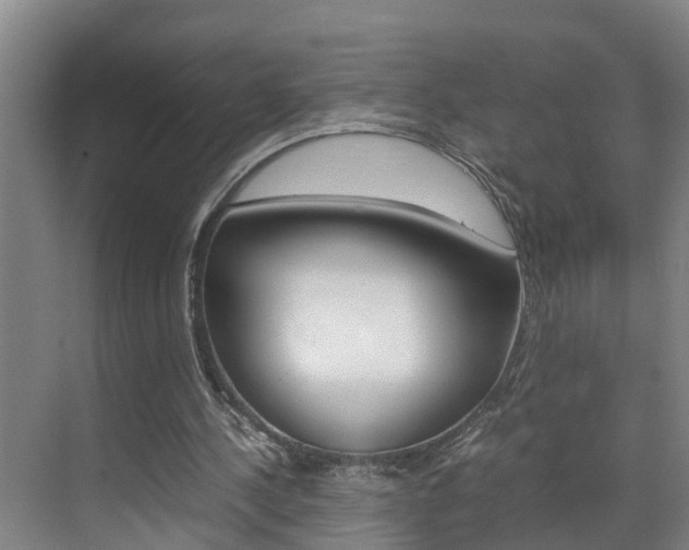 X0000070870244200606161044