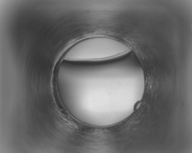 X0000070870292200606161044