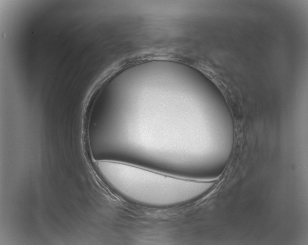 X0000070870293200606161044