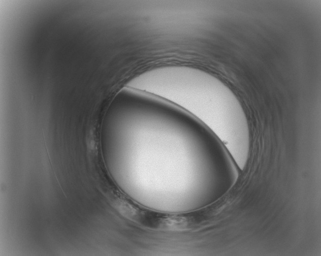 X0000070870317200606161043