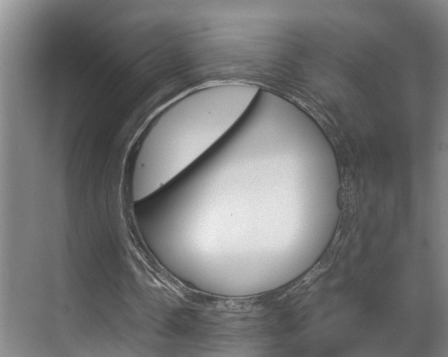 X0000070870338200606161042