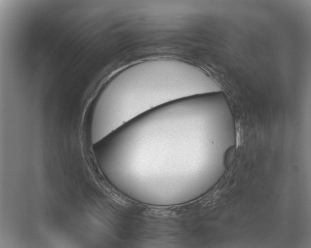 X0000070870339200606161042