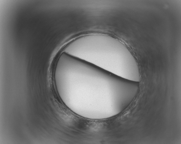 X0000070870343200606161042