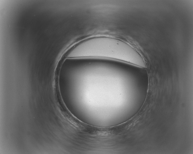 X0000070870344200606161042