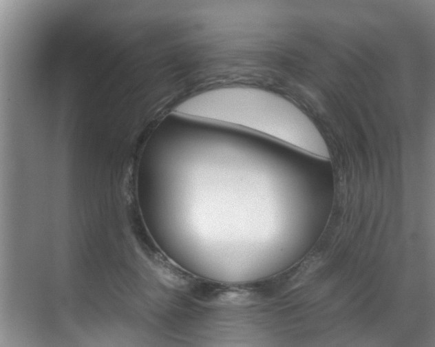 X0000070870364200606161042