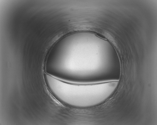 X0000070870389200606161042