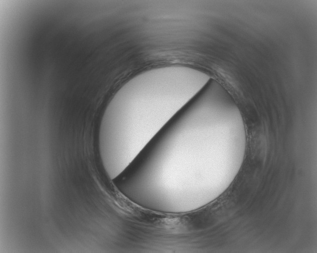 X0000070870406200606161042