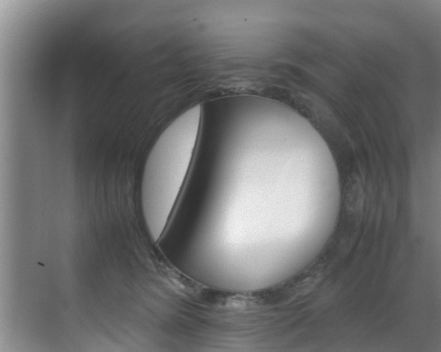 X0000070870420200606161041