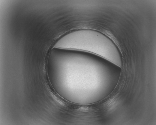 X0000070870441200606161040