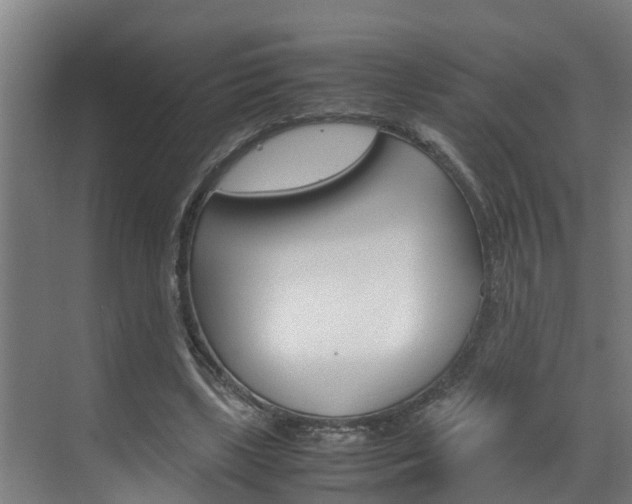 X0000070870443200606161041