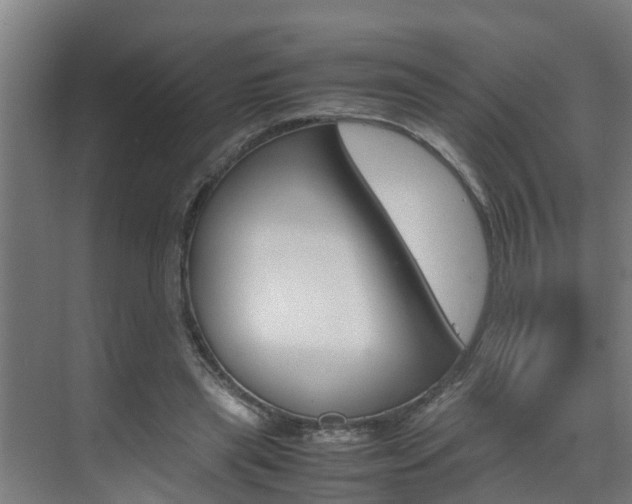X0000070870445200606161041
