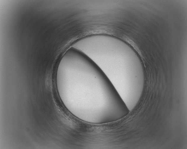 X0000070870482200606161040