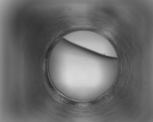 X0000070870495200606161040