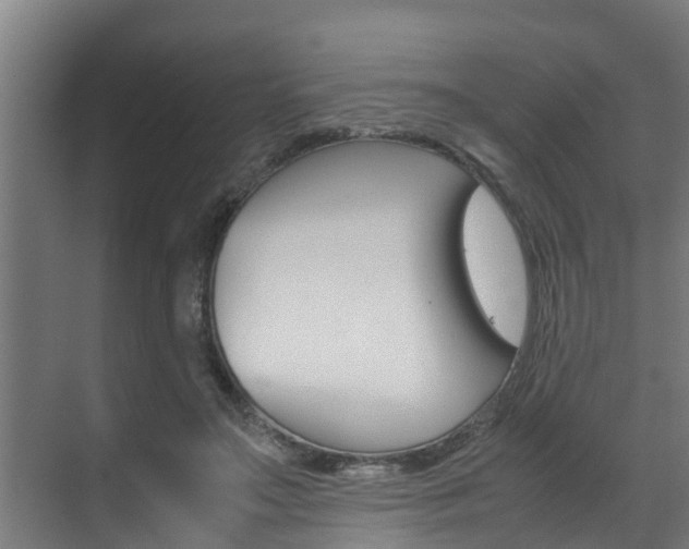 X0000070870499200606161040