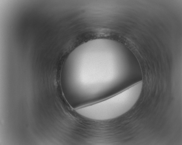 X0000070870512200606161040