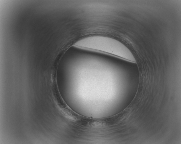 X0000070870546200606161039