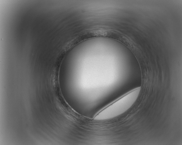 X0000070870600200606161038