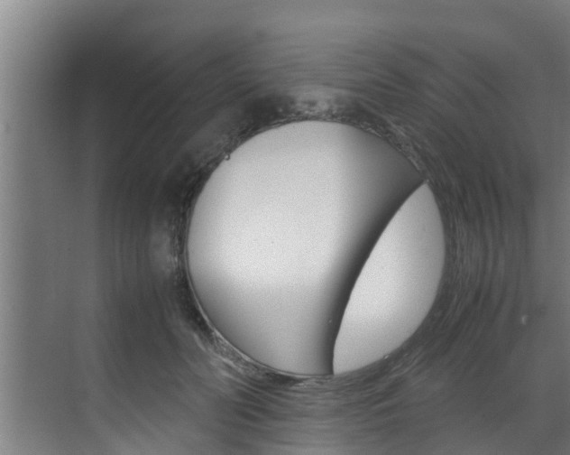X0000070870606200606161038