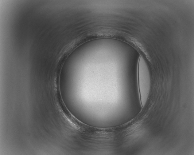 X0000070870633200606161037