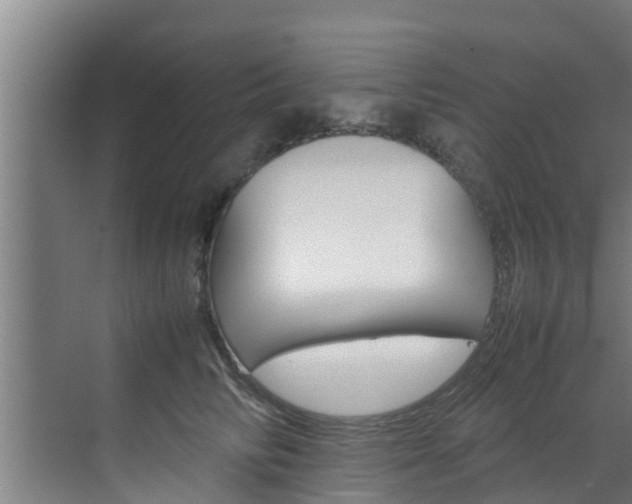 X0000070870710200606161036