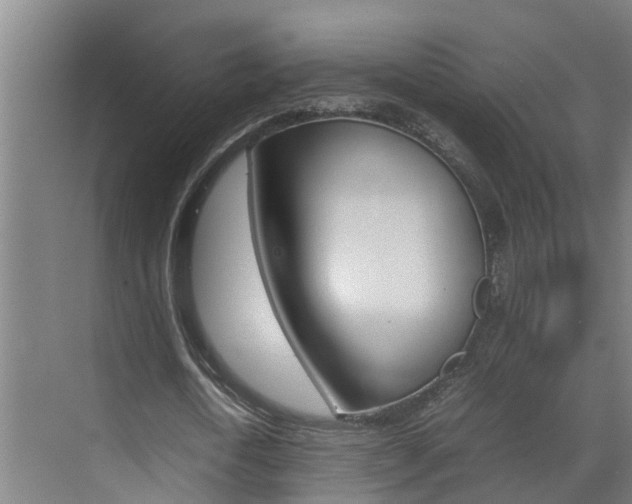 X0000070870722200606161035