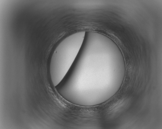 X0000070870729200606161036