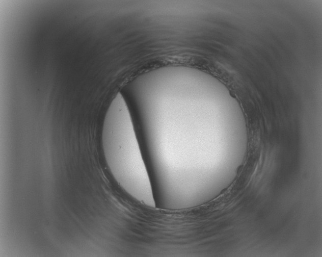 X0000070870749200606161036