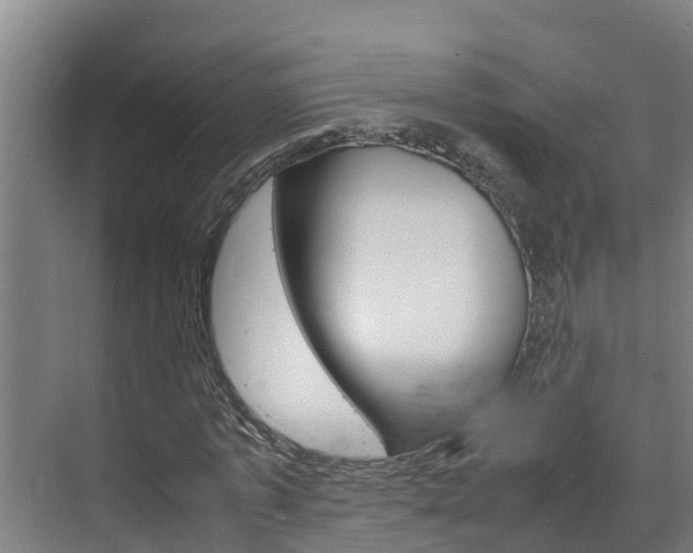 X0000070870773200606161035