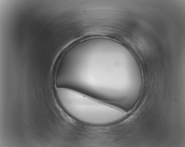 X0000070870779200606161035