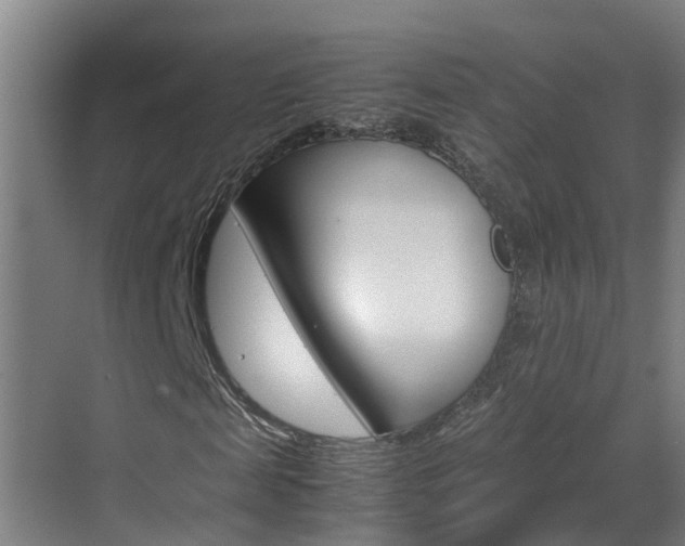 X0000070870817200606161034