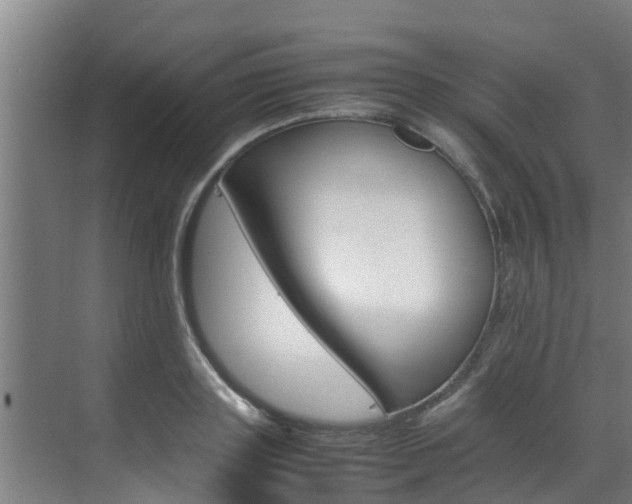 X0000070870843200606161034
